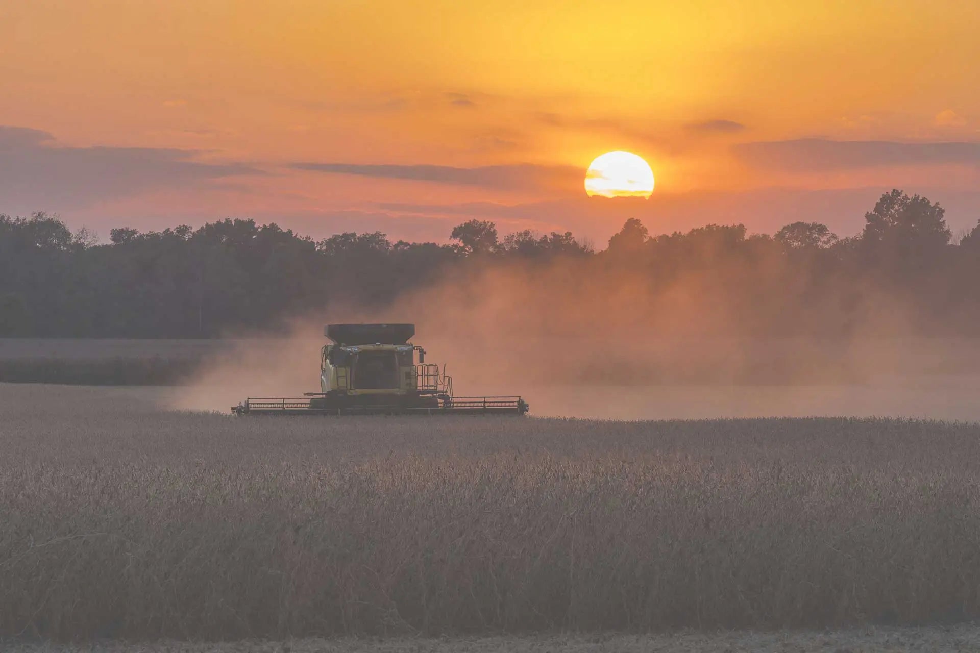 2019-Looking-forward-to-a-new-year McBee Farm & Cattle Co