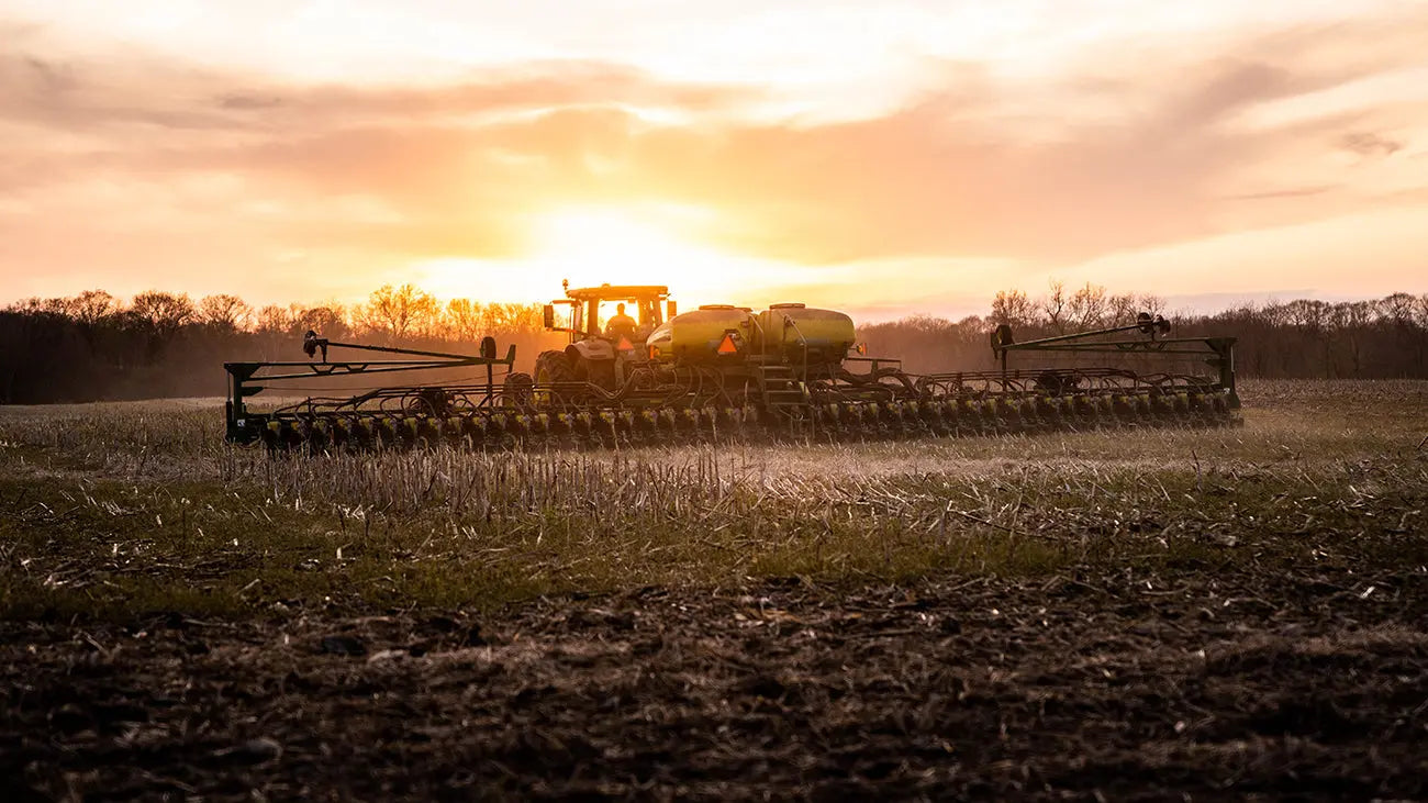 The-Calm-Before-the-Storm McBee Farm & Cattle Co