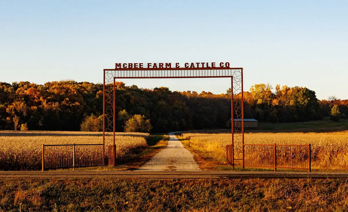 The-Magic-of-Fall McBee Farm & Cattle Co