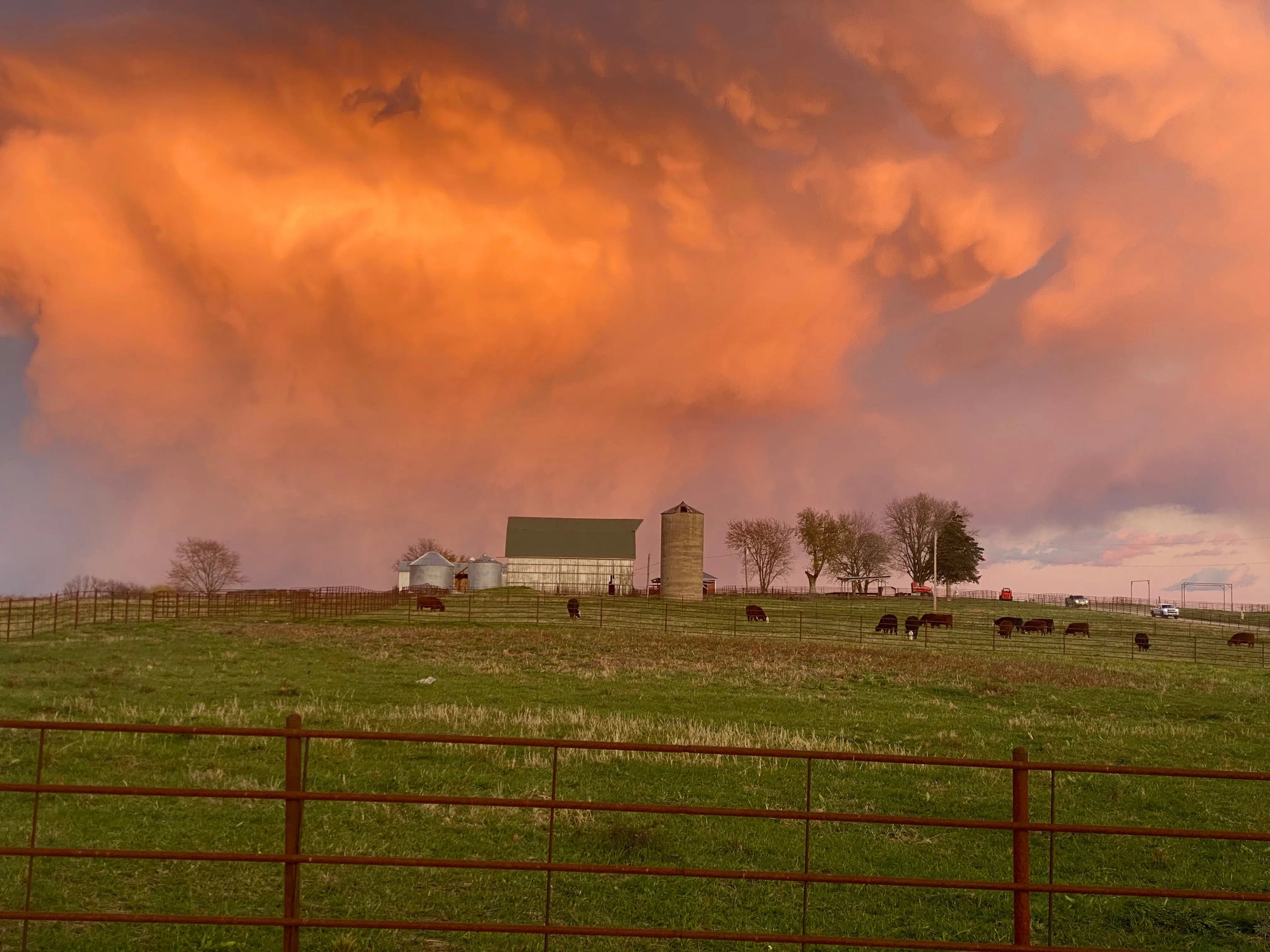 Planting-Season-In-the-Books McBee Farm & Cattle Co