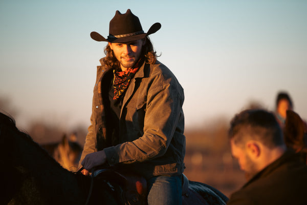 McBee cattle
