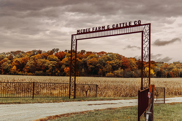 Fall in Full Swing on the Farm 🍁